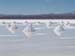salar d'Uyuni
