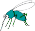une 