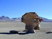 el arbol de piedra